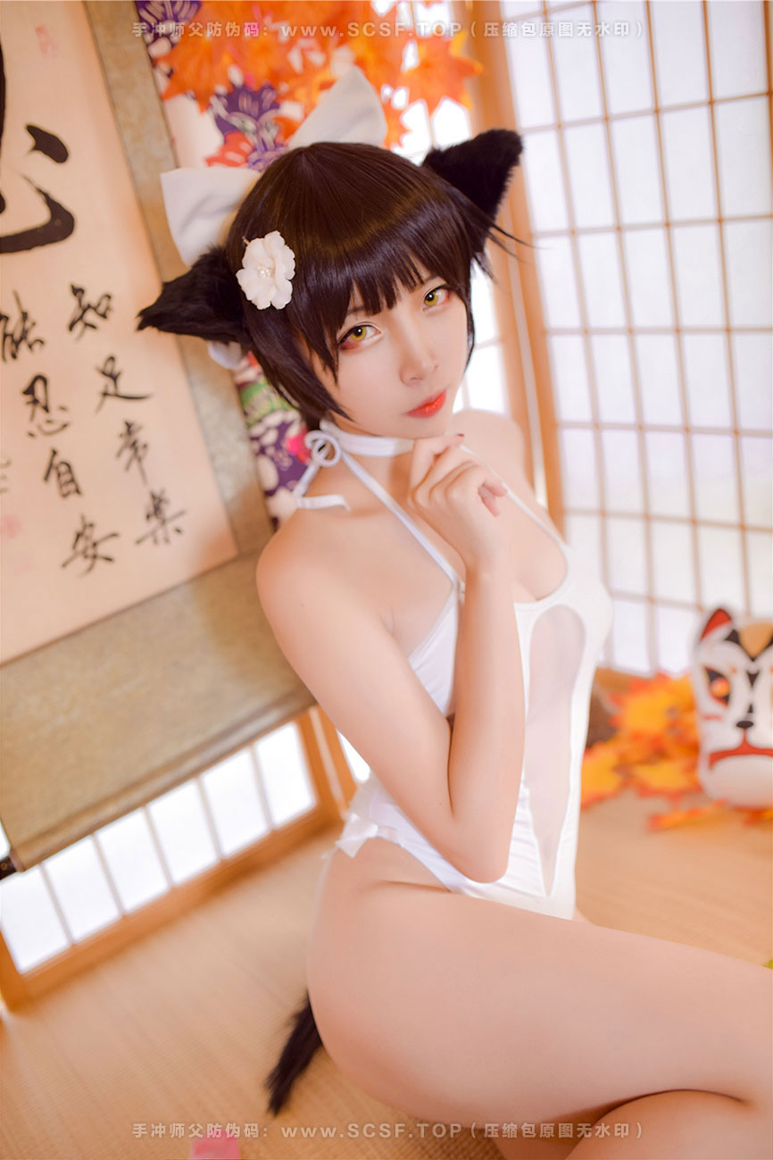 风之领域 [47P][534M]COS指挥官